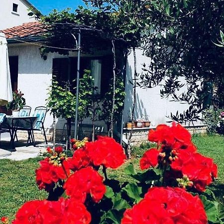 Studio Benassi Poreč Exterior foto